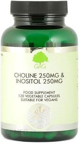 i-g-g-cholina-i-inozytol-120-kaps