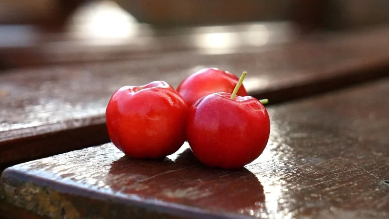 Acerola Duo proszek 200g