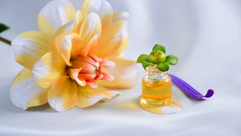 Australian Bush Flower Essences Boost Essence Odzyskaj spokój i równowagę krople 30ml