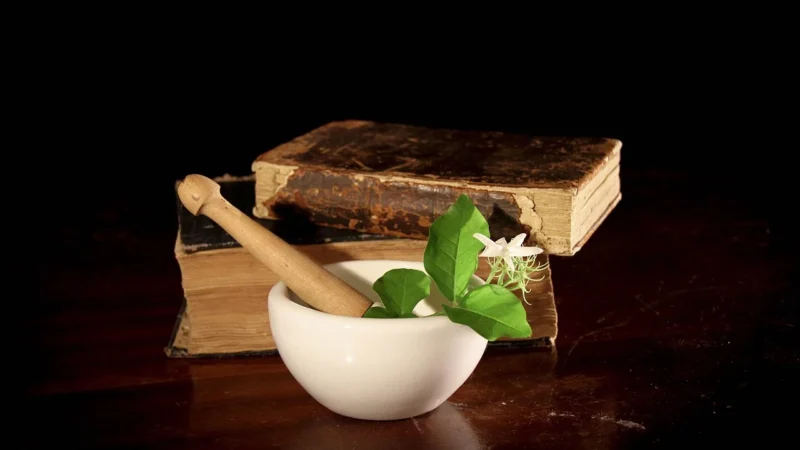 Australian Bush Flower Essences Electro Essence Dostrój Się Do Harmonii Ziemi Krople 30ml