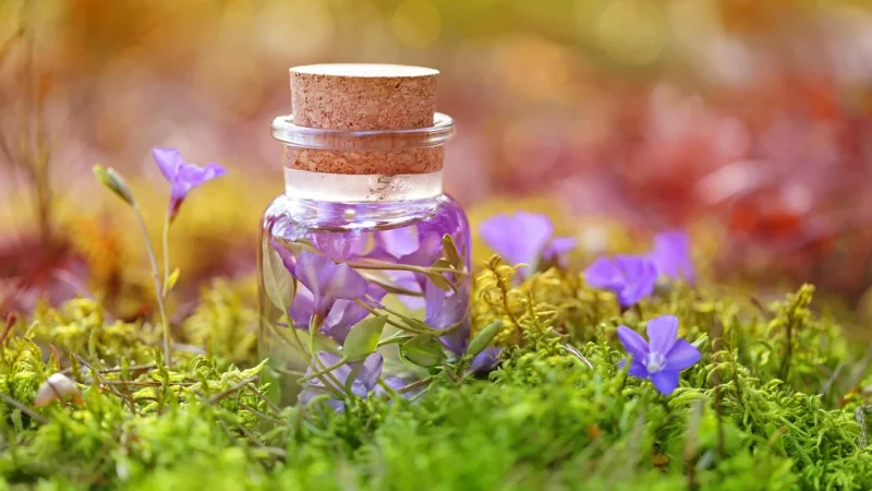 B’Nature IMMUN STAR VITAL krople 30ml