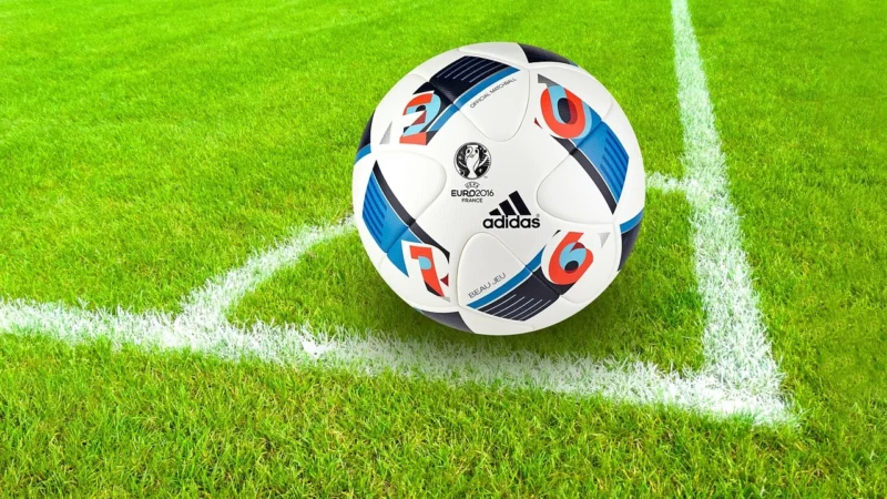 Buty piłkarskie adidas Korki Predator 19.1 Fg Junior