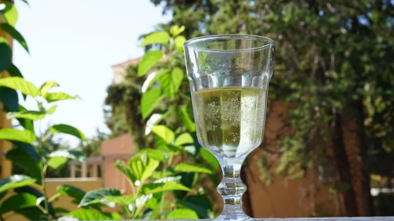 Cheers Witamina B Complex Zestaw 8 Witamin Z Grupy B Wzbogacony O Cholinę Inozytol I Piperynę 30 kaps