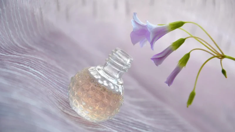 Chloé Nomade Naturelle Woda Perfumowana 50 Ml