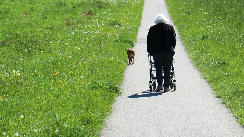CHODZIK CZTEROKOŁOWY DLA SENIORÓW 4056282455652