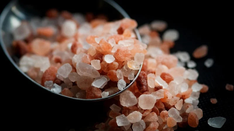 Classic Ayurveda Bio łuski babki płesznik – 400g