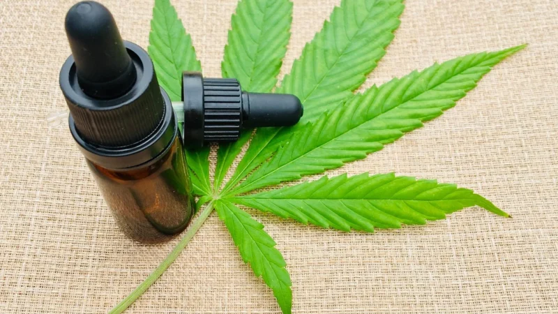 Cosma Cannabis Olej Konopny Tłoczony Na Zimno 250Ml