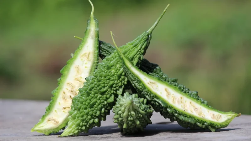 Cosmoveda Karela bio – 200kaps.