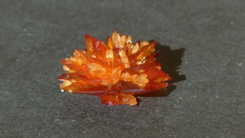 Cytrynian Potasu 100% Bez Dodatków 500g