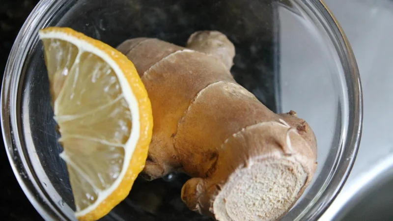 Dietfood .Bio Maca 100G