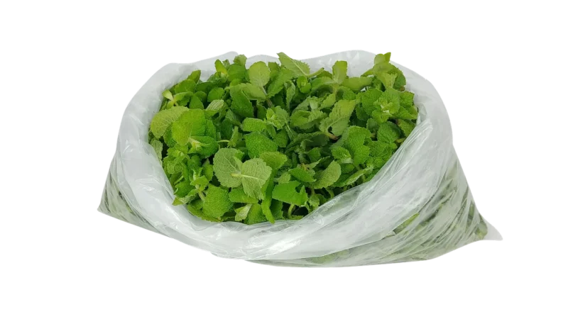 Doz ZIELNIK DOZia Miętowe Jabłuszko, herbatka owocowo-ziołowa, 15 sasz.