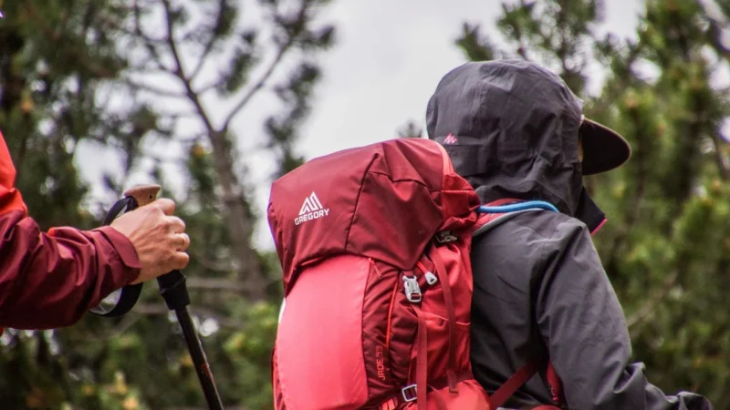 Elbrus Plecak Turystyczny Triglav 40 Green Flame Scarlet