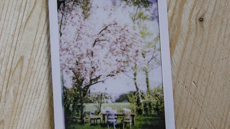 FujiFilm Colorfilm Instax mini Glossy (10×2/PK)