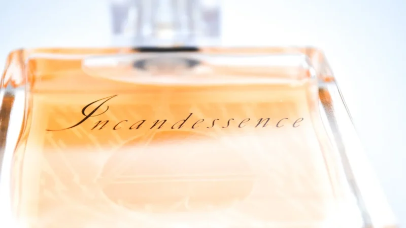 Giorgio Armani Acqua Di Gio Pour Homme Woda Toaletowa 100ml Tester