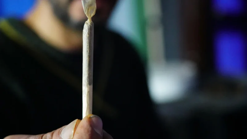 Green C CBD 100% legalny Pre-Rolls do palenia
