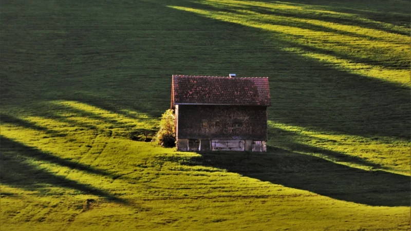 Green Pasture Fermentowany olej z wątroby płaszczki 120 kaps