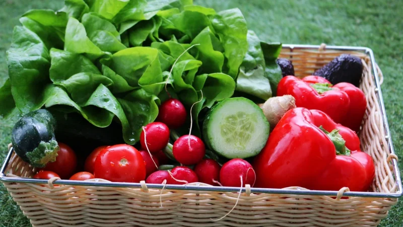 Healthy Origins Chelatowany Kompleks Minerałów 240 vcaps