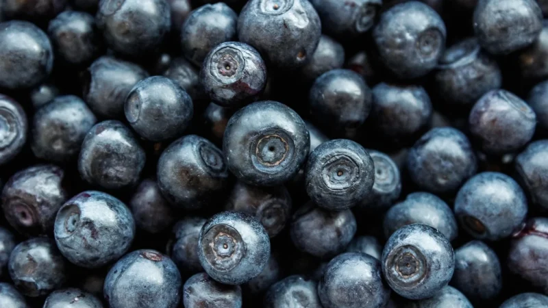 Holland & Barrett Suplement Diety Blueberry Vision 60 caps