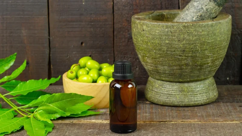 Houttuynia 30ml – antyoksydant