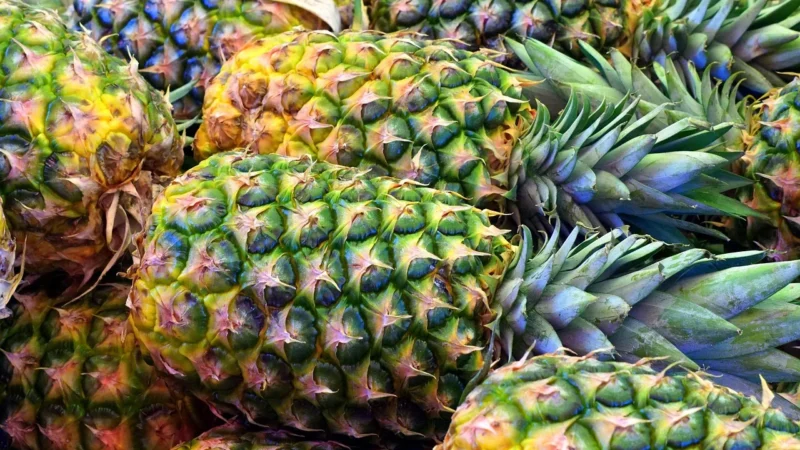 jakim jest bromelaina
