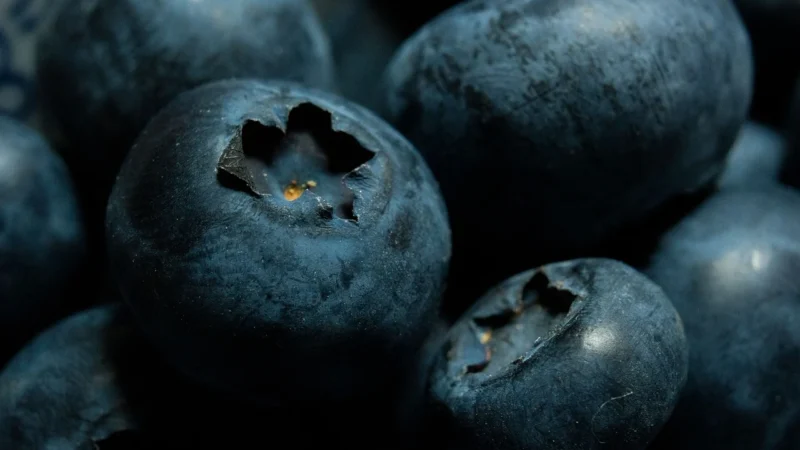Jarrow Bilberry Grapeski Polyphenol Polifenole Ekstrakt z Borówki i Skórek Winogron 120 kaps.