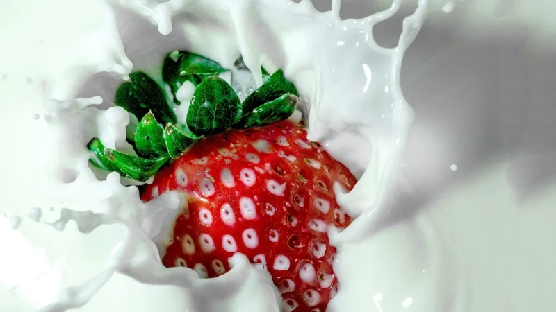 JOY DAY PROBIOŁYK EKO napój probiotyczny Owoce lasu 125ml