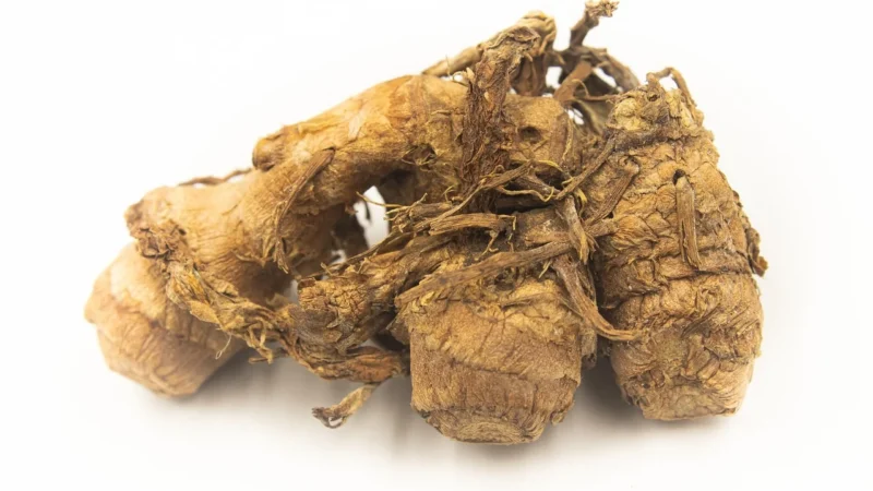 Kenay Ag Kurkuma Turmeric Sproszkowany Korzeń 200gr