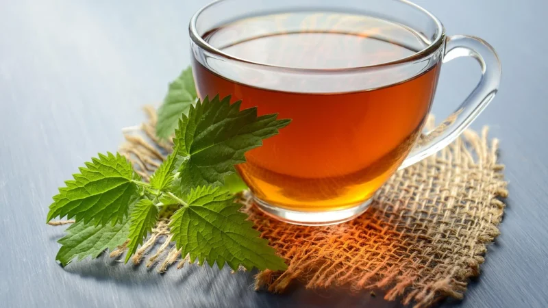 Lorem Vit Pamięć i Koncentracja 50g