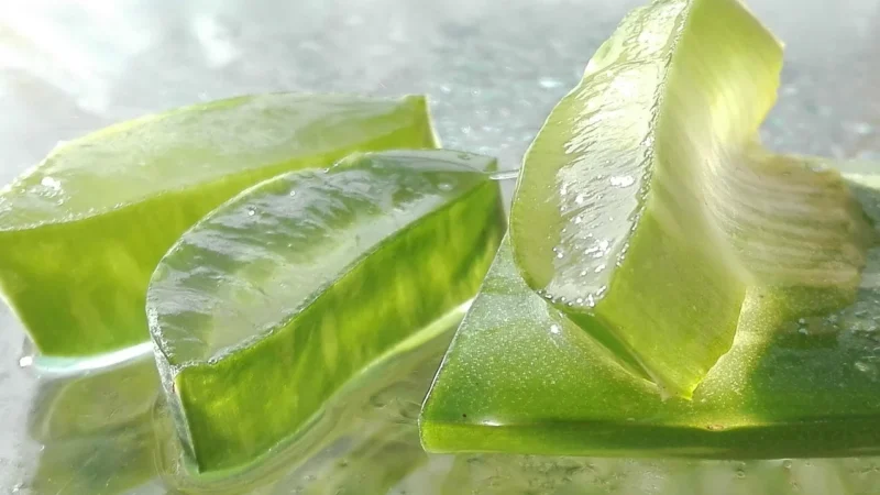 LR Health & Beauty Aloe Vera Żel do zębów wrażliwych 100ml