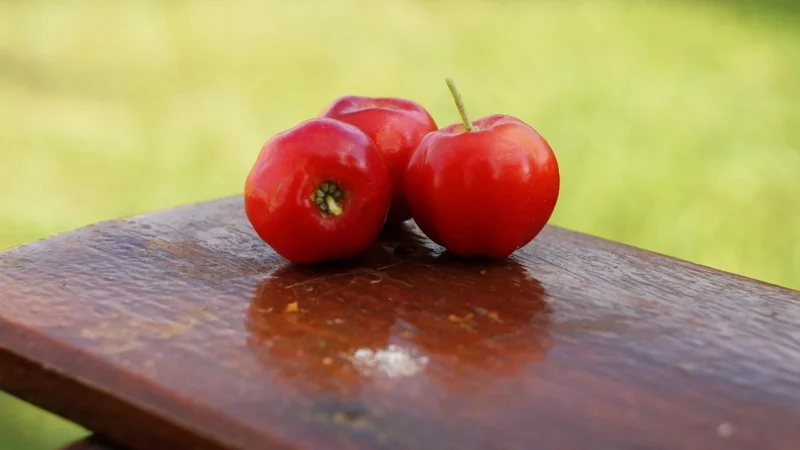 Medica Herbs Acerola Malpighia Glabra 60Kaps