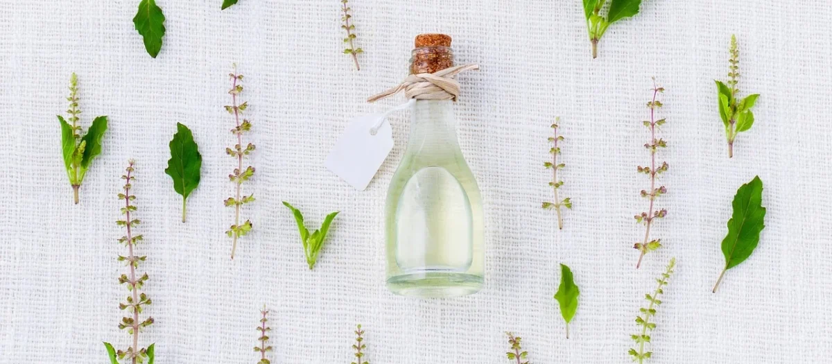 Melisept S21 olejek z melisy, waleriany i bergamotki 100ml