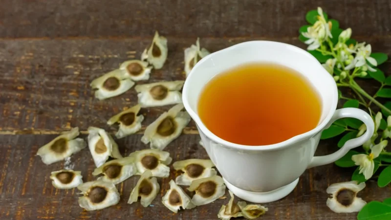 Myvita Moringa oleifera 60kaps.