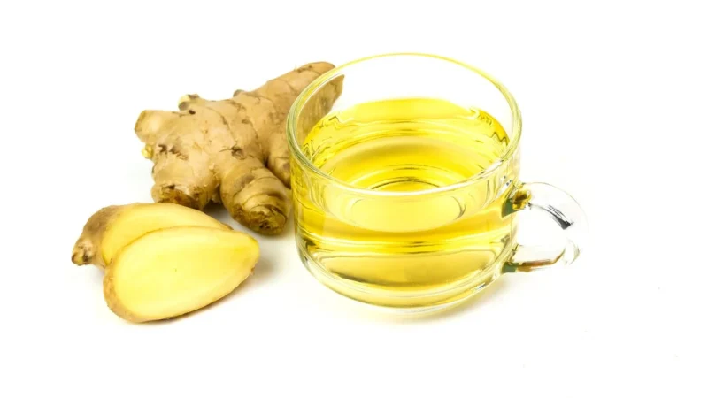 MyVita Tarczyca bajkalska 100 g