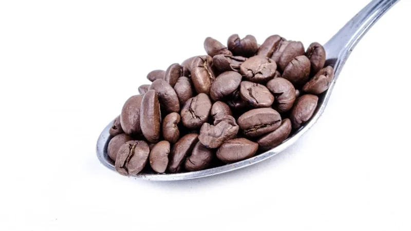 Myvita Wapń W Proszku (Cytrynian Wapnia) 100g