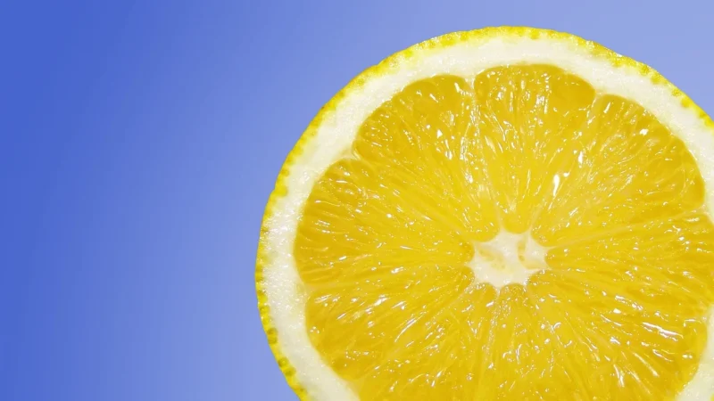 MyVita Witamina C ekstrakt z dzikiej róży bioflawonoidy cytrusowe Vita C plus 500g