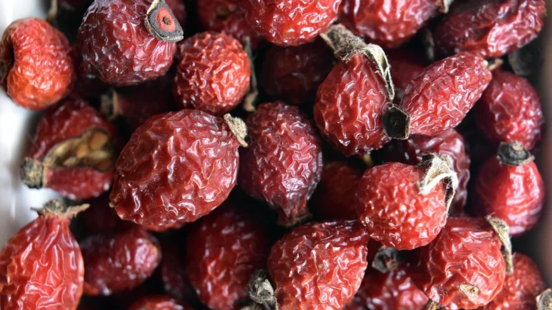 MyVita Witamina C Forte+ Plus bioflawonoidy i ekstrakt z dzikiej róży proszek 250g