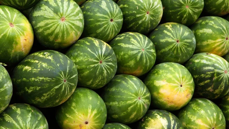 Myvita żelki naturalne witamina Adek, 120 szt.