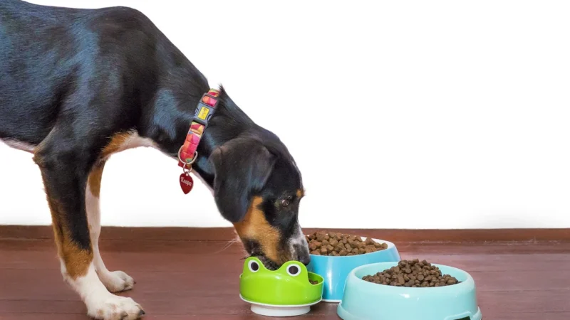 N & D Low Grain Chicken & POMEGRANTE small puppy 2x7KG