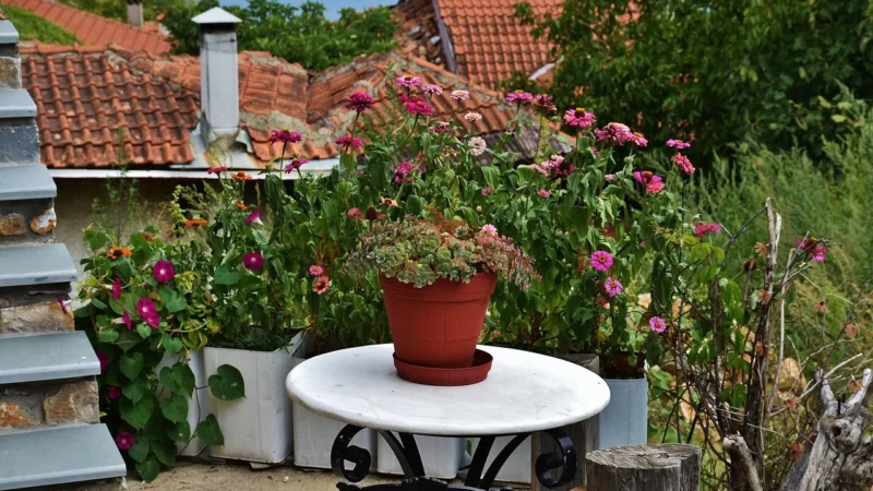 Olimp L-karnityna 500 forte plus 60 szt