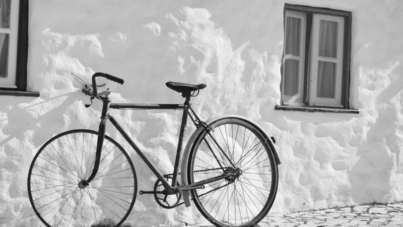 Plumbike Cruiser La Donna Lana Biały Purpurowy