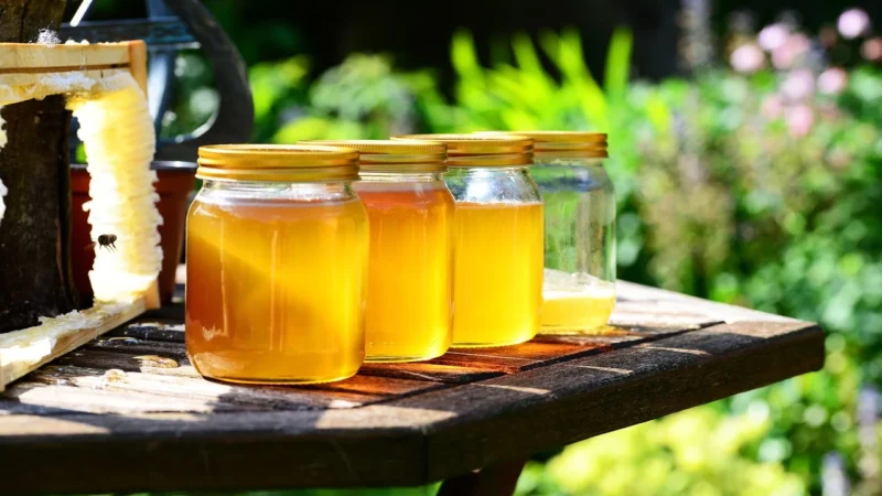 Propolis Forte tabletki do ssania o smaku mentolowym 30 tabletek