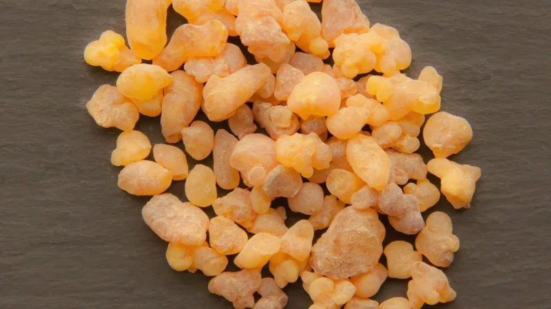 Pure Encapsulations Kadzidło wyciąg Boswellia 120 kaps.