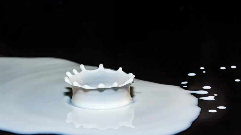 Pure Encapsulations Wapno MCHA 180 kaps.