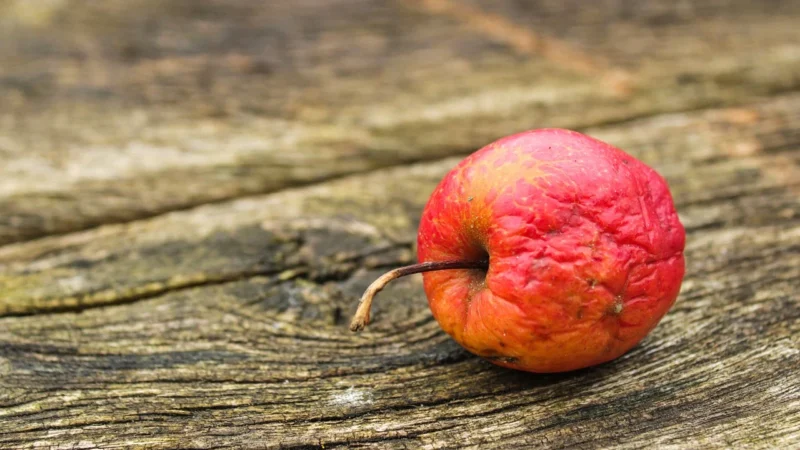 SEEKING HEALTH Optimal Man (Wsparcie zdrowia mężczyn) 120 Kapsułek wegetariańskich