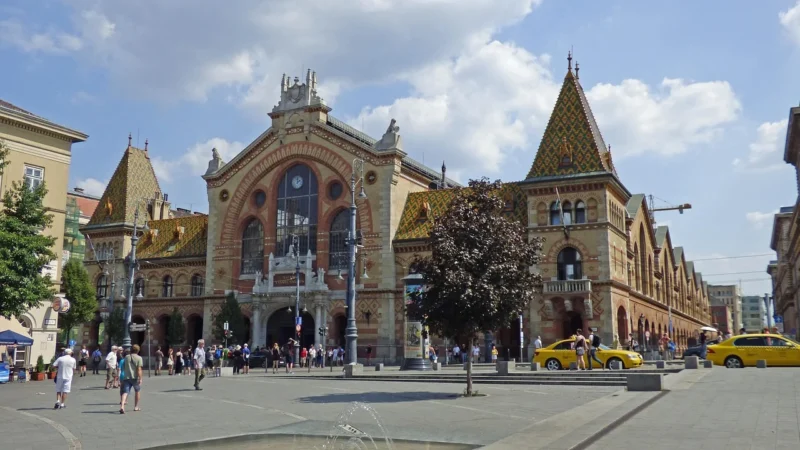 Singularis Żeń-Szeń Kompleks Bioperine 60 kaps