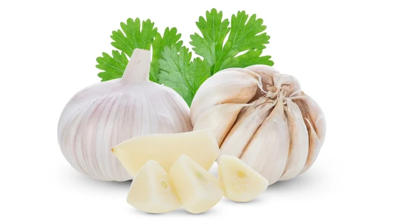 Starlife Garlic Parsley Star