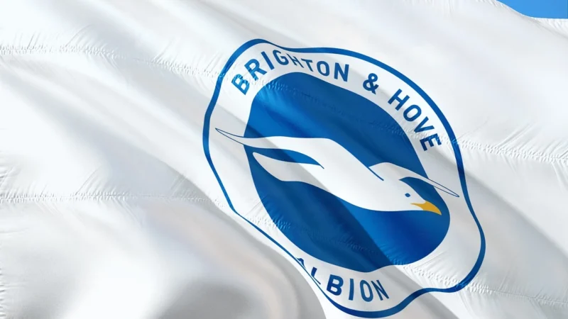 Swanson Albion Chelat Zelaza Ferrochel Iron 180 kapsułek