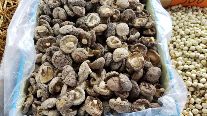 Swanson Ekstrakt z Grzybów Shiitake, 500 mg, 120 kaps.