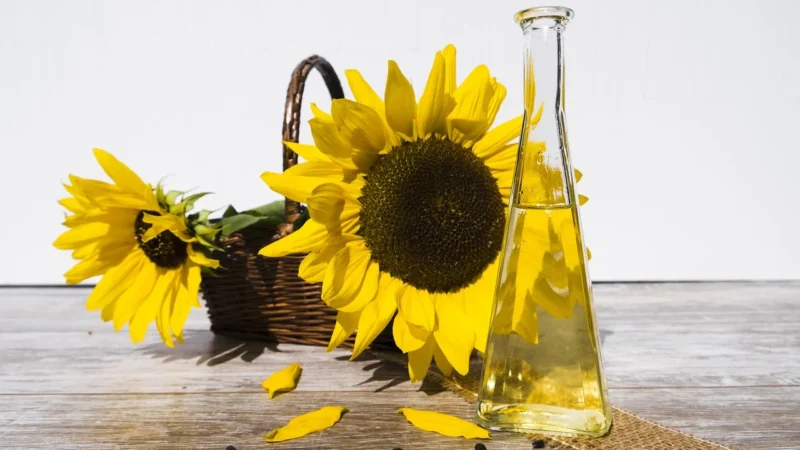 Swanson Sunflower Lecithin Lecytyna słonecznikowa 90 kaps.