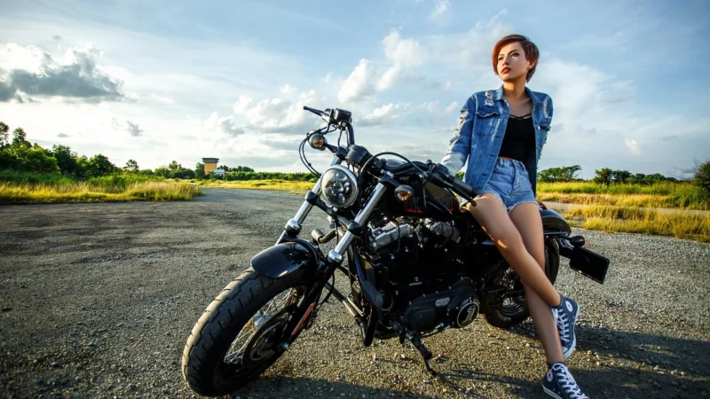 TAMIYA Yamaha Virago XV1000